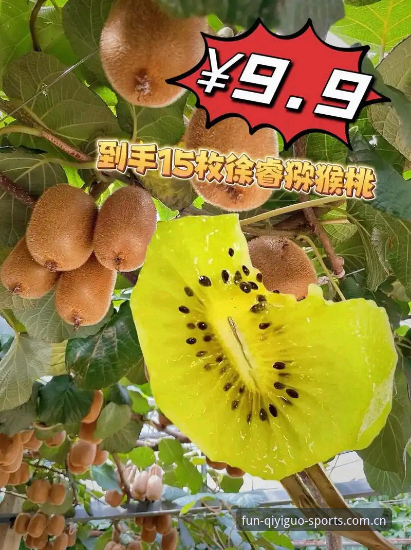 奇异果体育平台实时比分功能详解